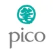 โลโก้ Pico